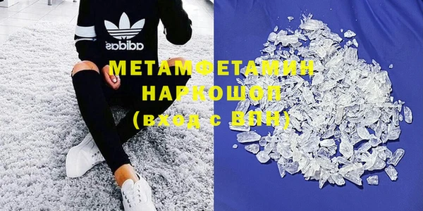 прущие грибы Верея