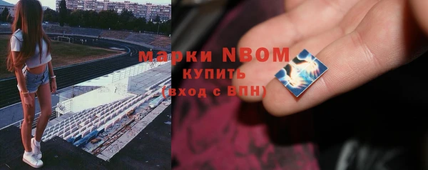 индика Верхнеуральск