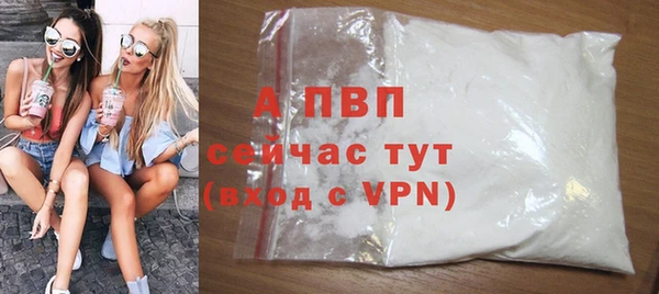 прущие грибы Верея