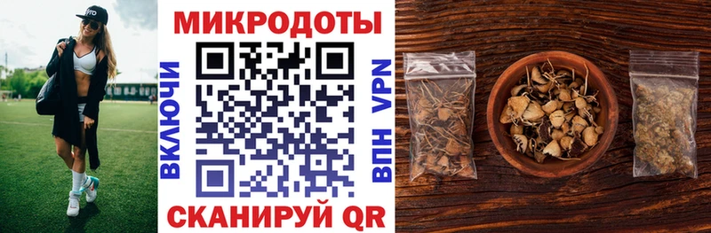 OMG ONION  Дудинка  Псилоцибиновые грибы MAGIC MUSHROOMS 